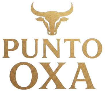 Punto Oxa